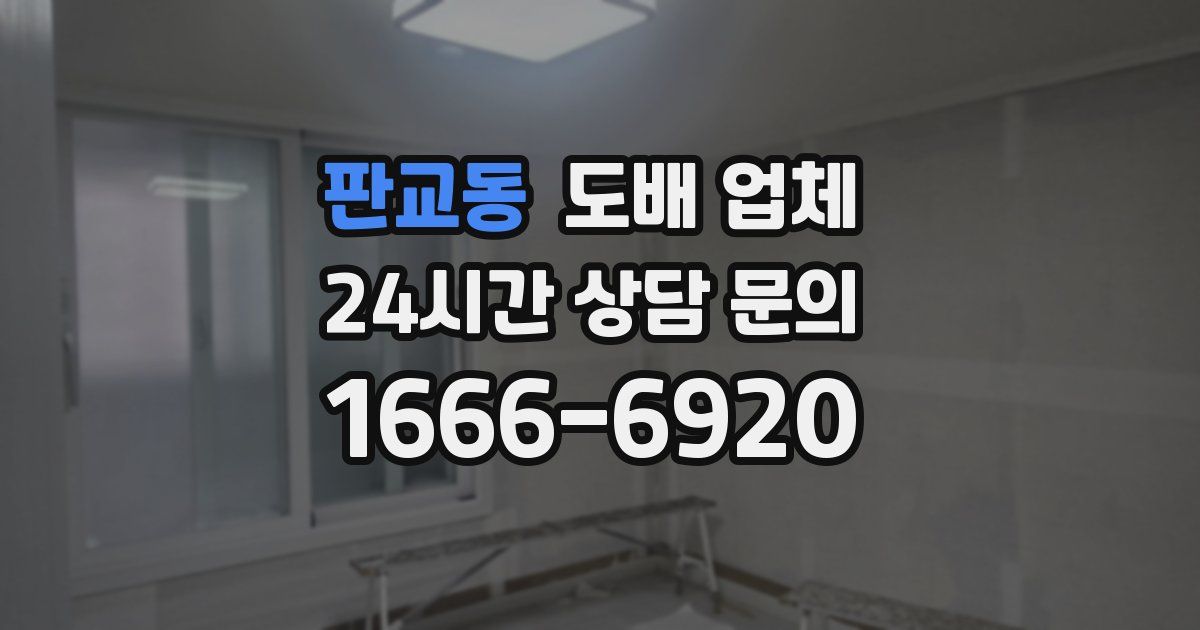 판교동 도배 업체