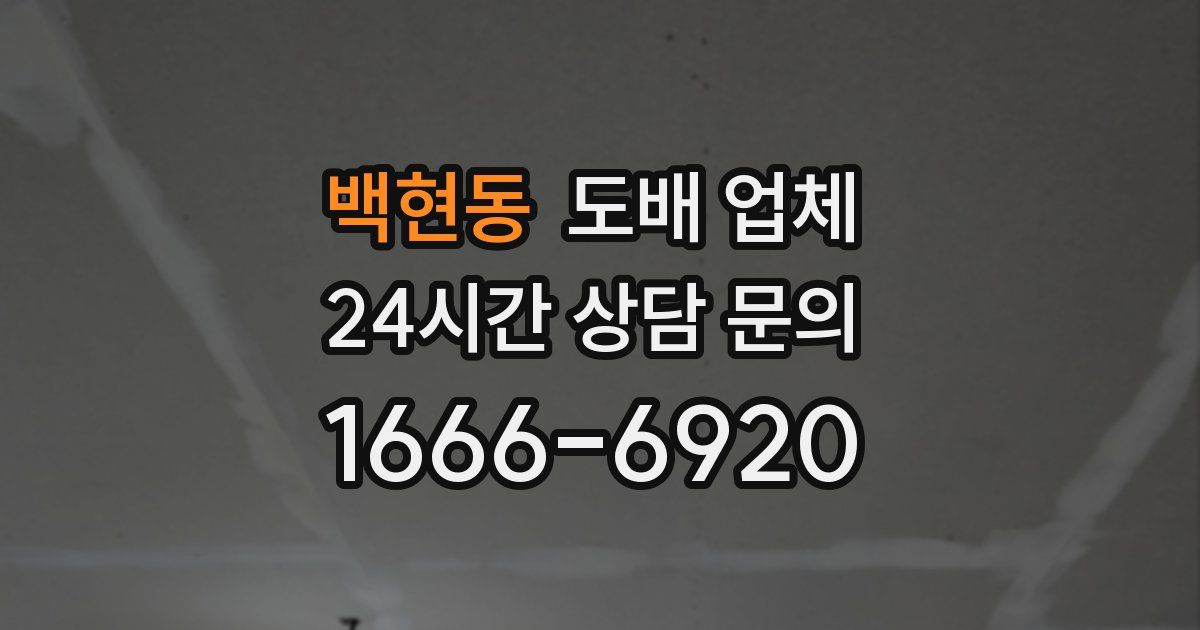 백현동 도배 업체