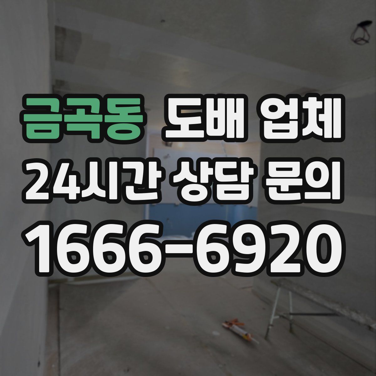 금곡동 도배 업체