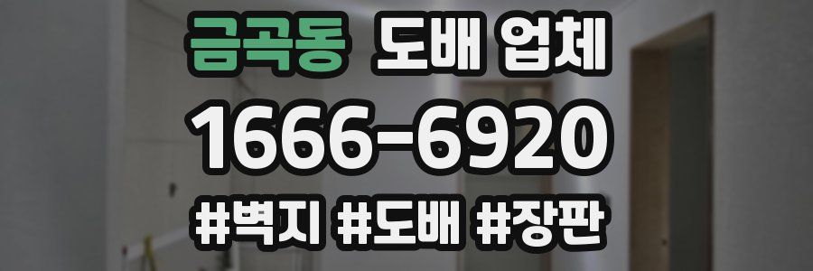 금곡동 도배 업체