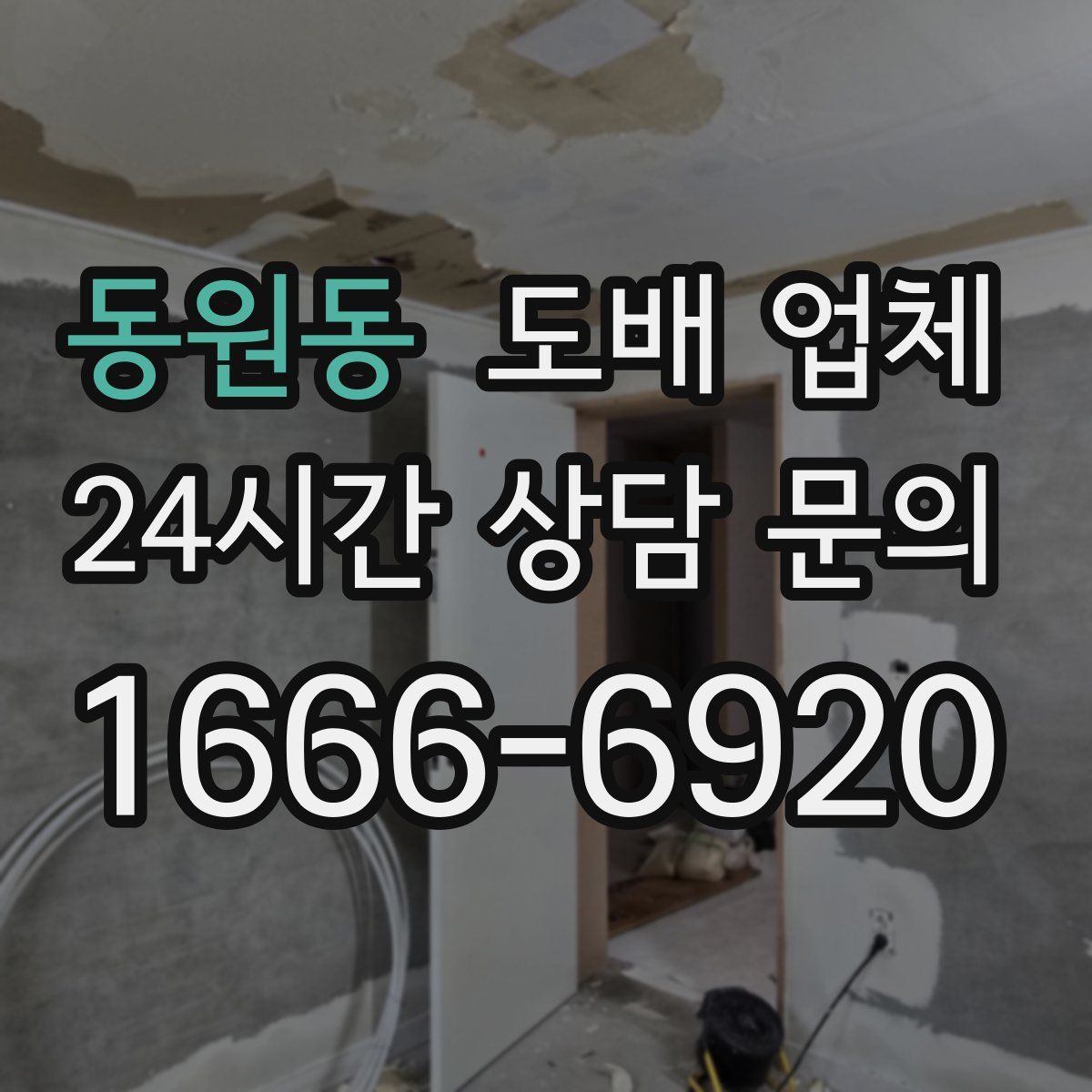 동원동 도배 업체