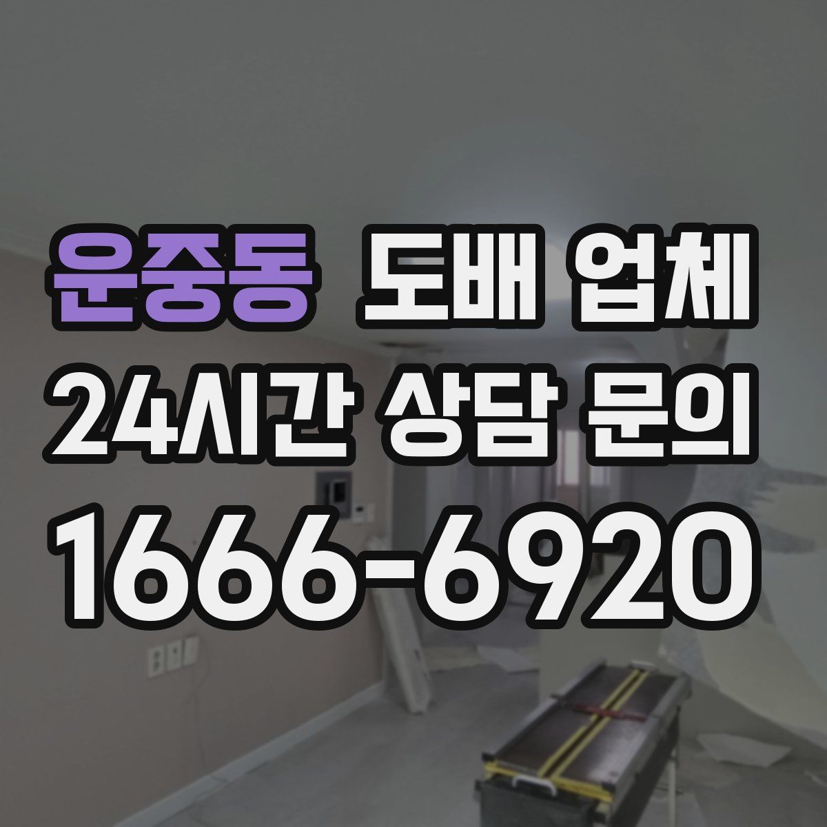 운중동 도배 업체