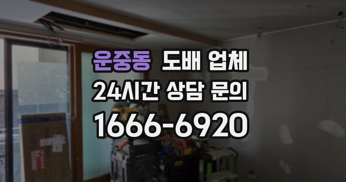 운중동 도배 업체