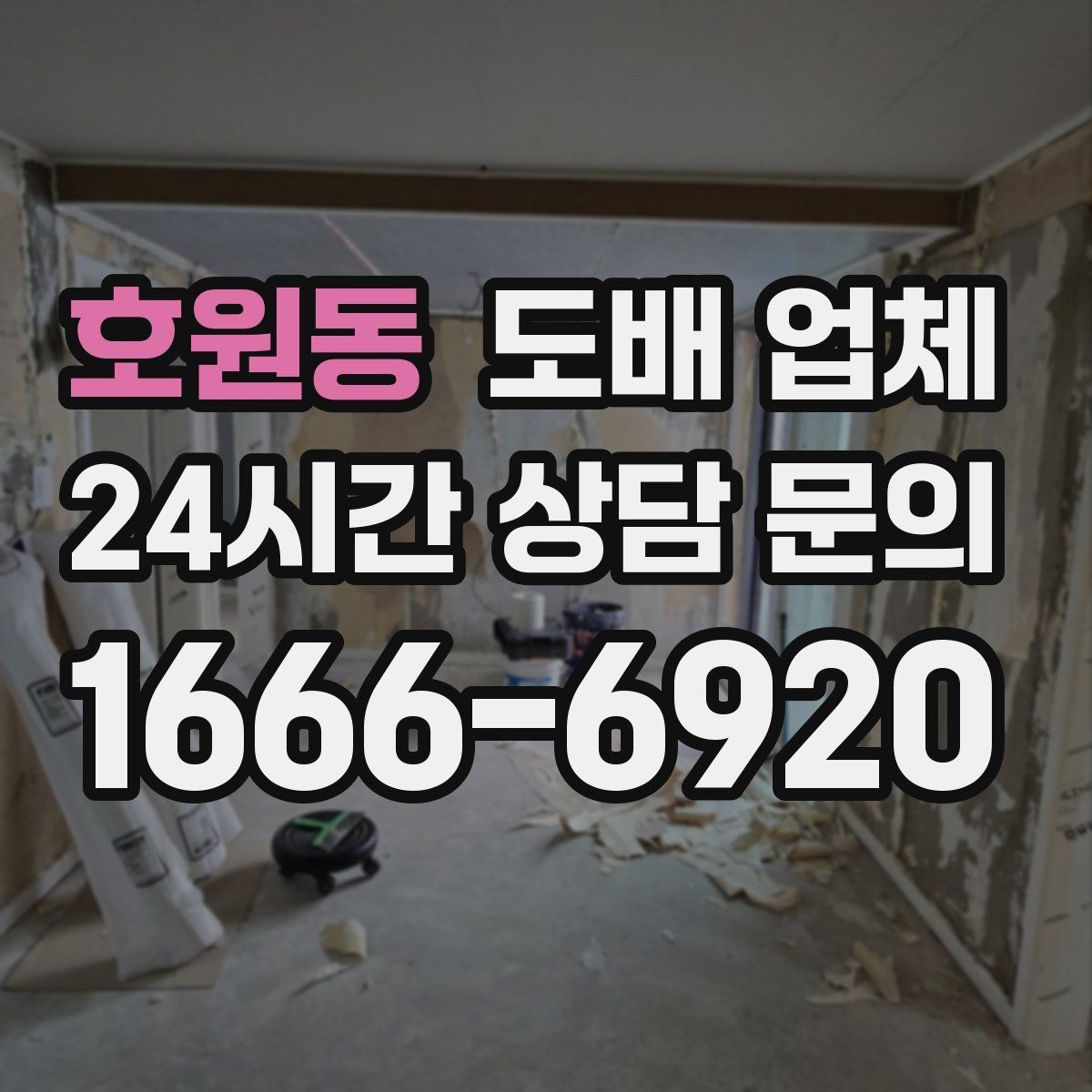 호원동 도배 업체 도배 전 곰팡이 확인이 필요한 이유