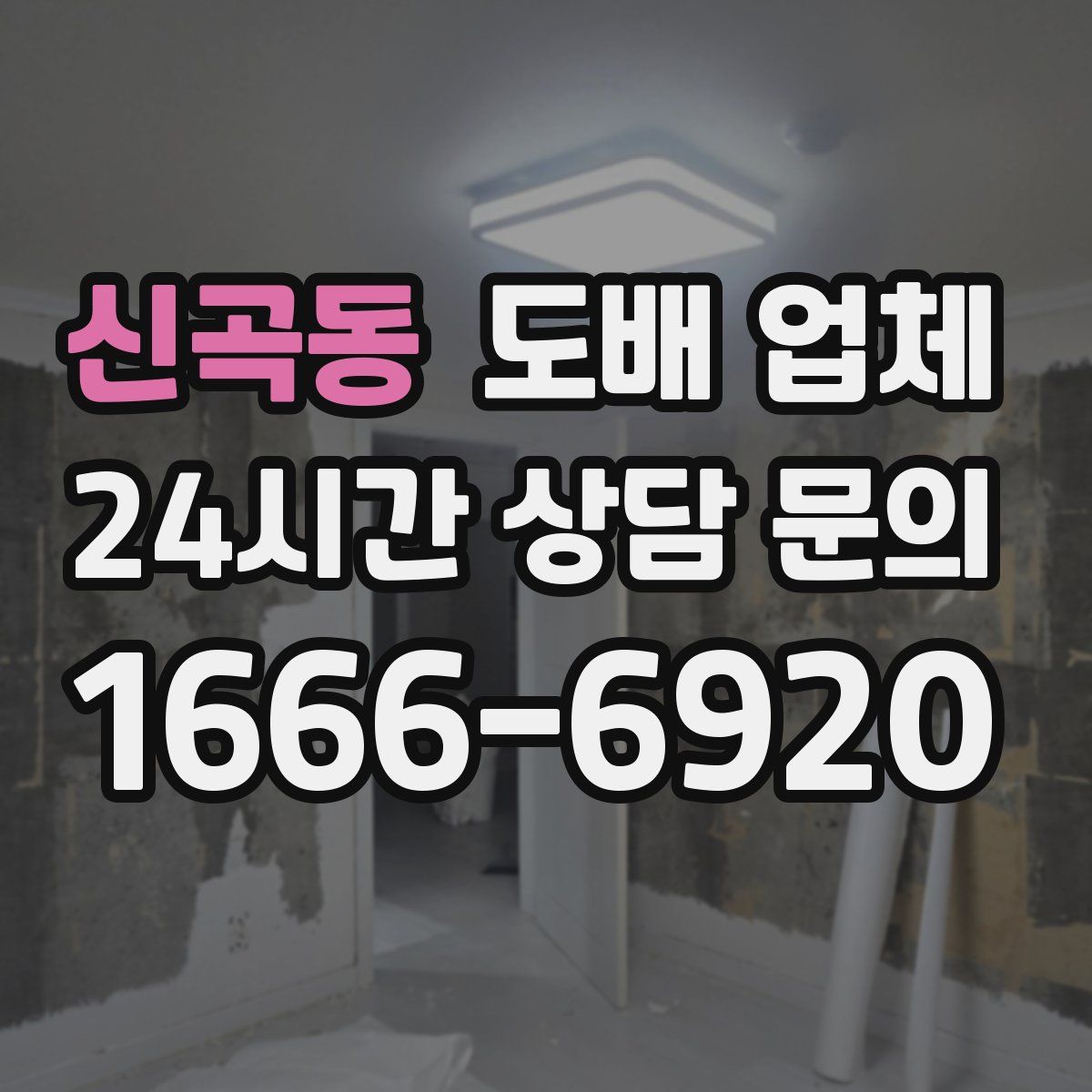 신곡동 도배 업체