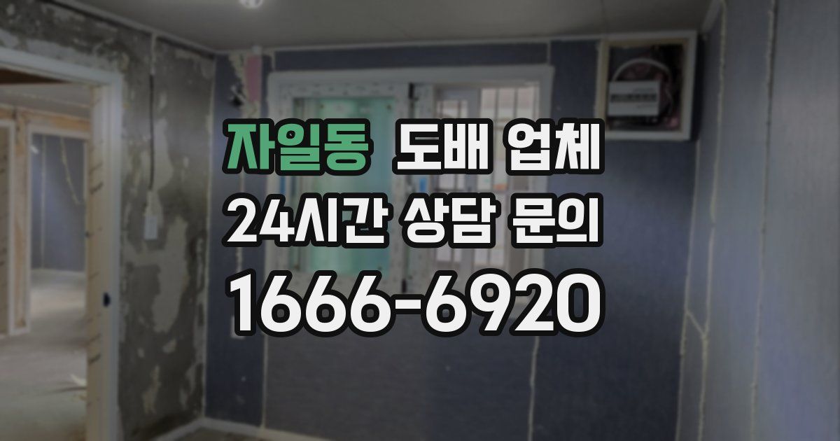 자일동 도배 업체