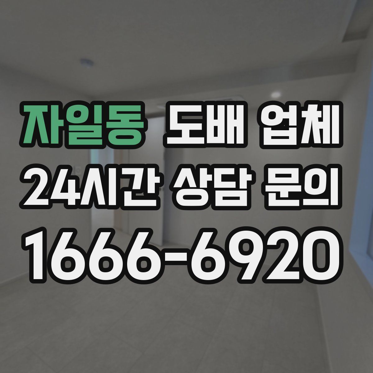 자일동 도배 업체