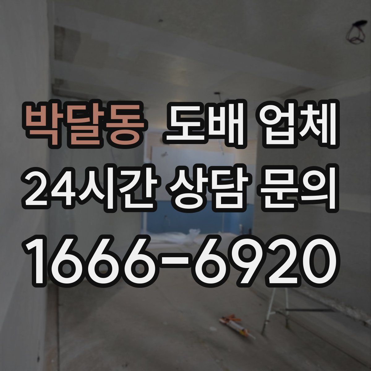 박달동 도배 업체