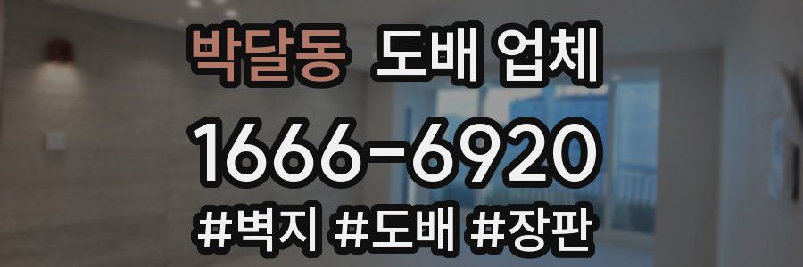 박달동 도배 업체