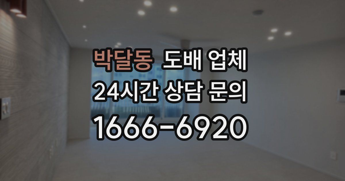 박달동 도배 업체