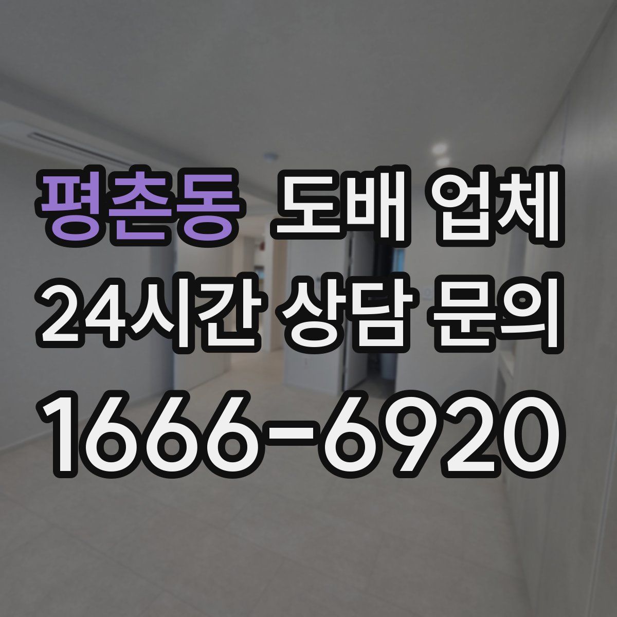 평촌동 도배 업체