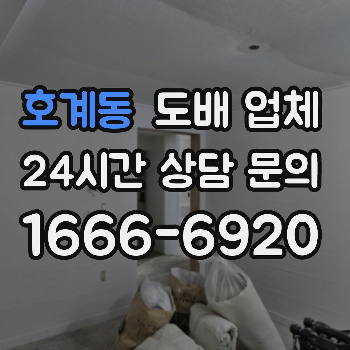 호계동 도배 업체