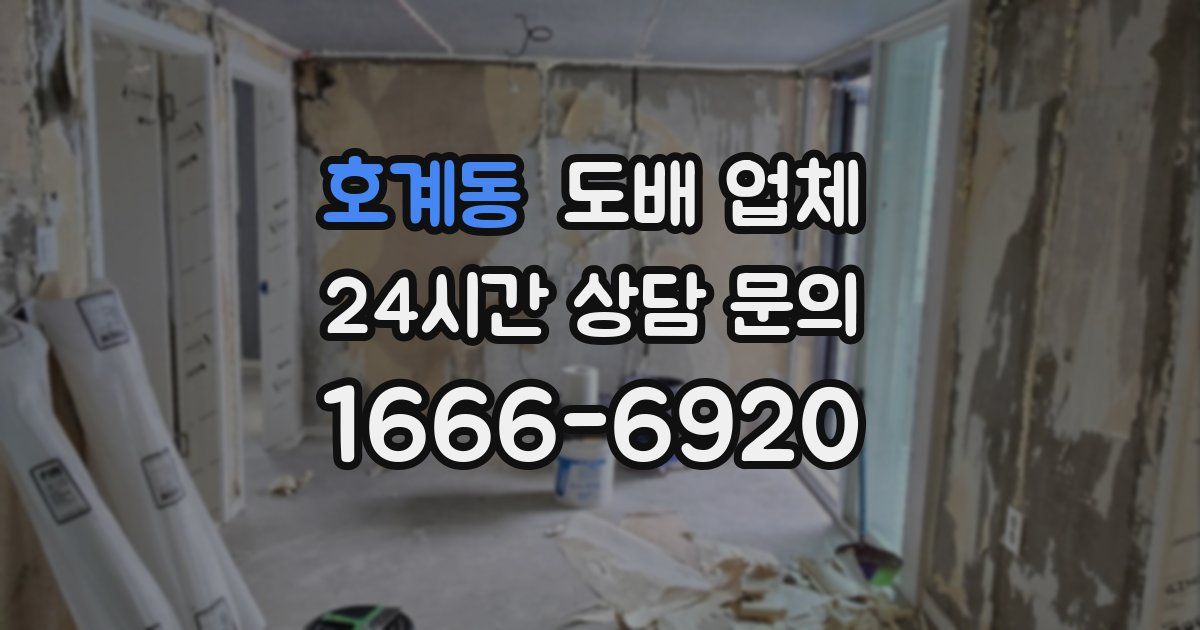 호계동 도배 업체