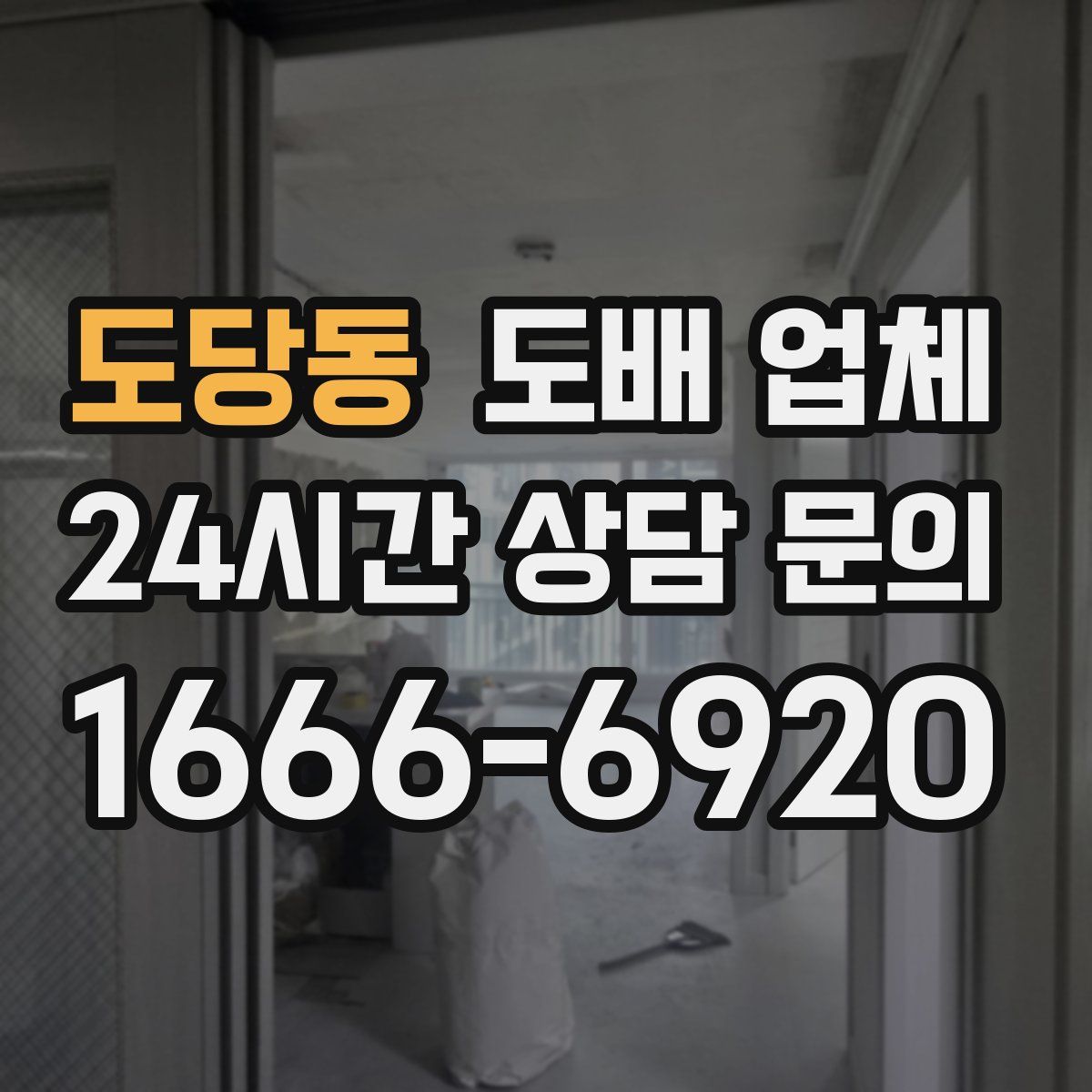 도당동 도배 업체