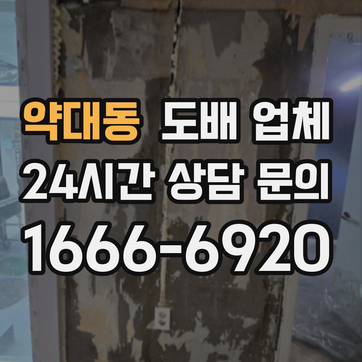 약대동 도배 업체