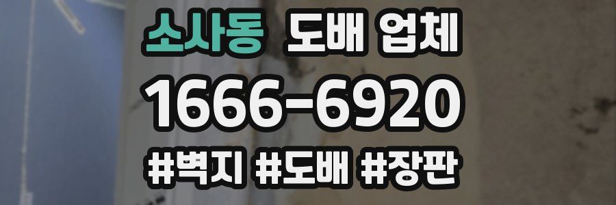 소사동 도배 업체