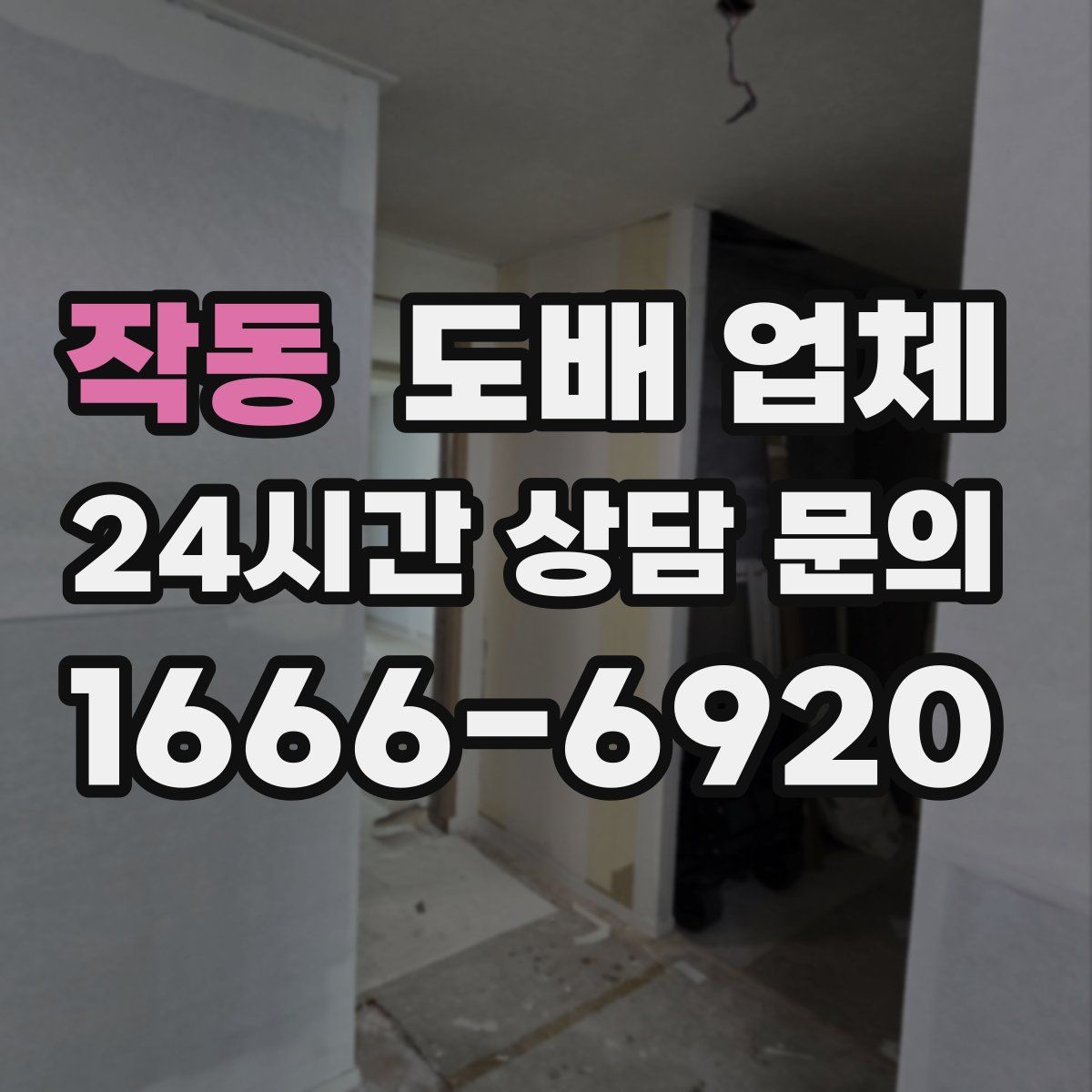 작동 도배 업체