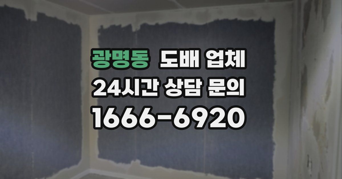 광명동 도배 업체