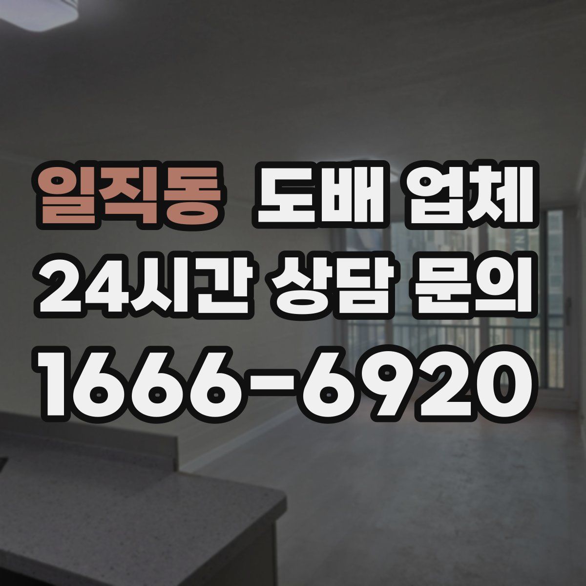 일직동 도배 업체