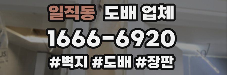 일직동 도배 업체
