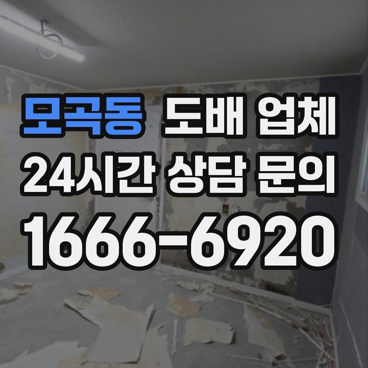 모곡동 도배 업체