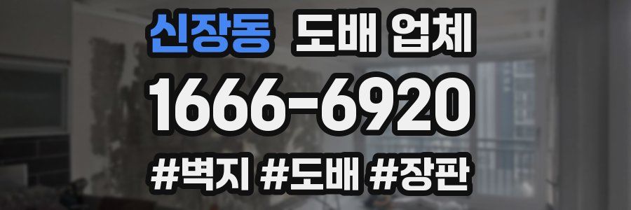 신장동 도배 업체
