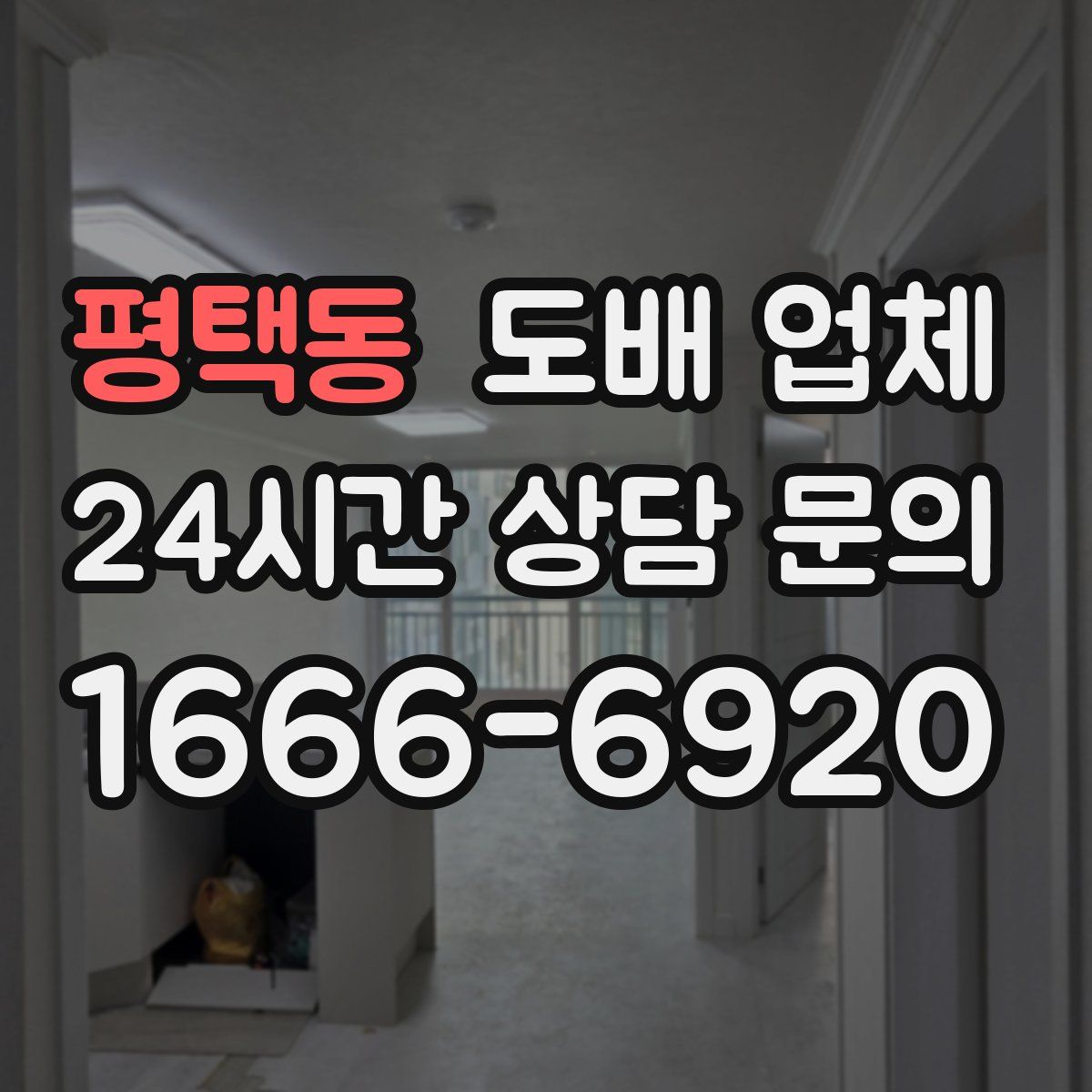 평택동 도배 업체