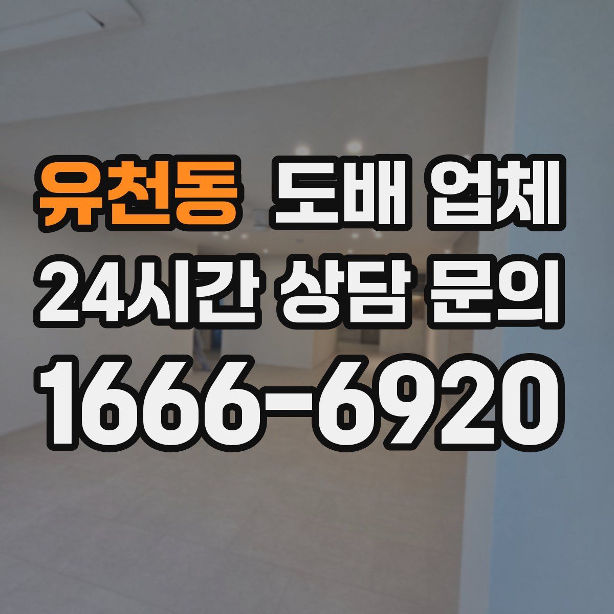 유천동 도배 업체