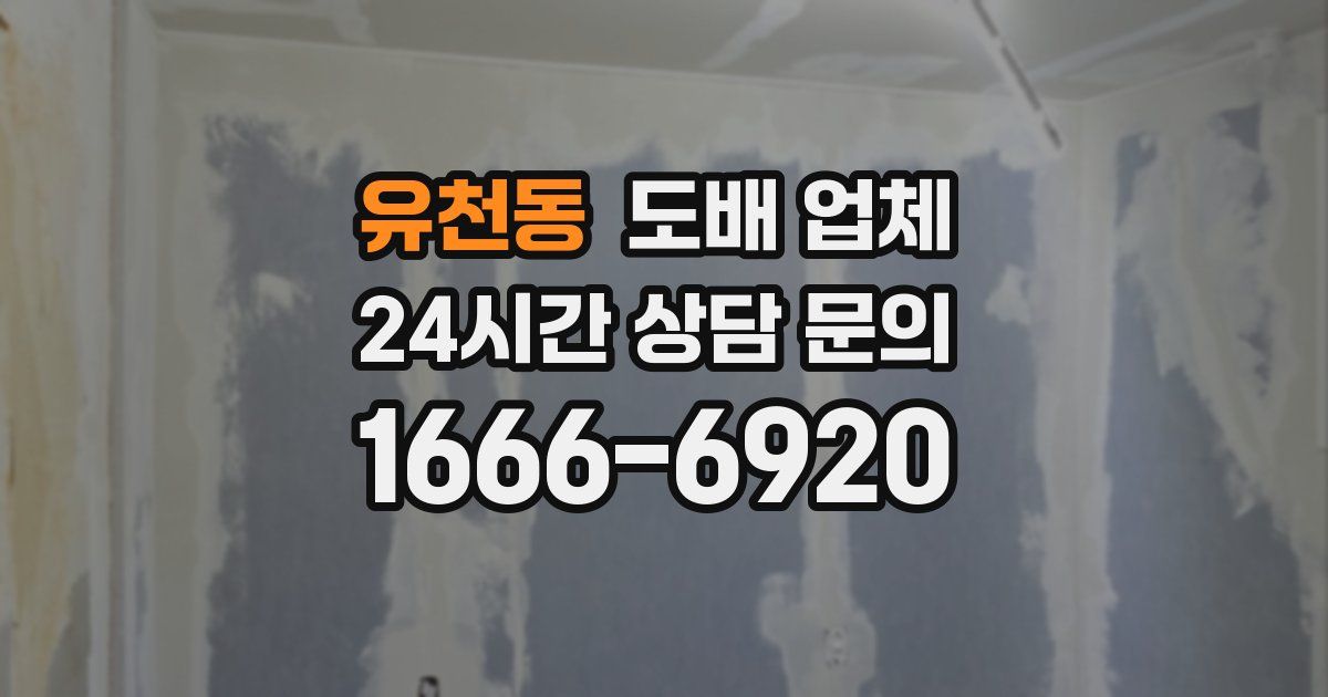 유천동 도배 업체