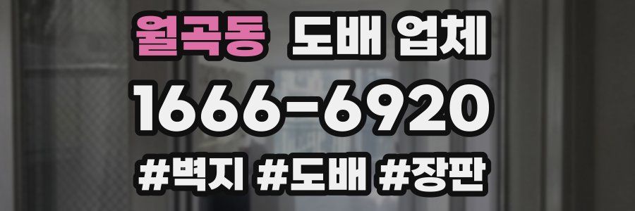 월곡동 도배 업체