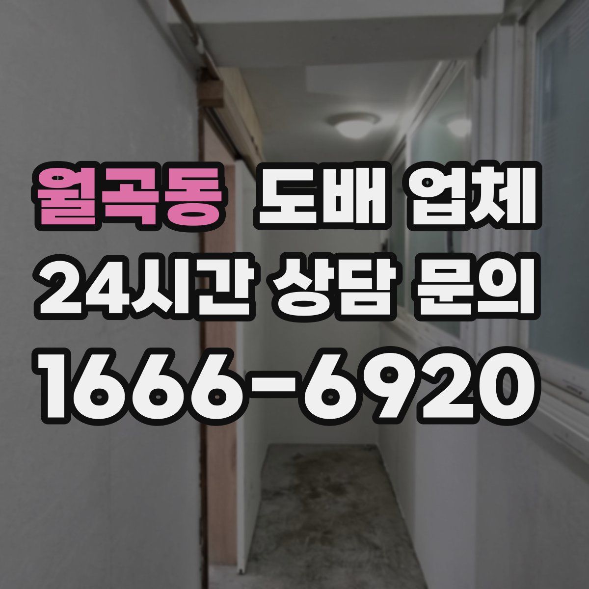 월곡동 도배 업체