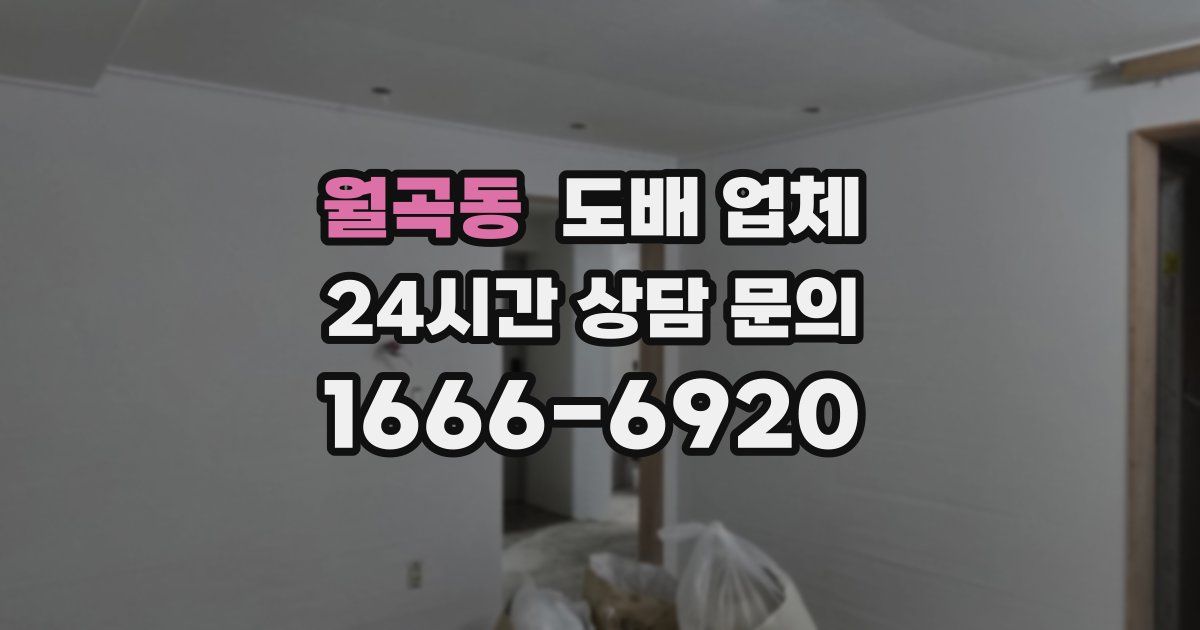 월곡동 도배 업체