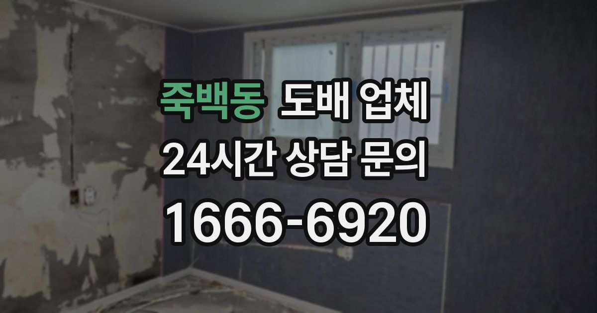 죽백동 도배 업체