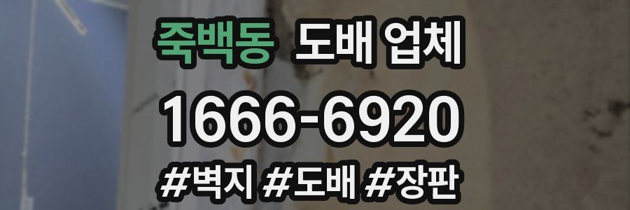 죽백동 도배 업체