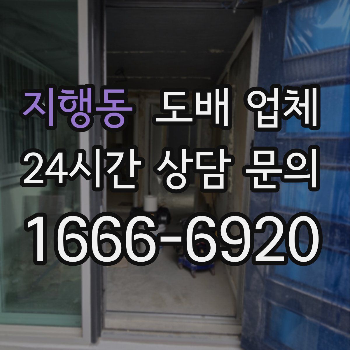 지행동 도배 업체