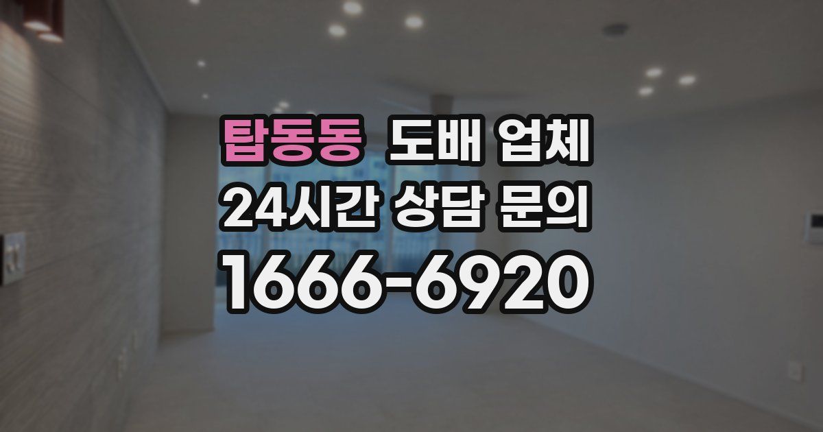 탑동동 도배 업체