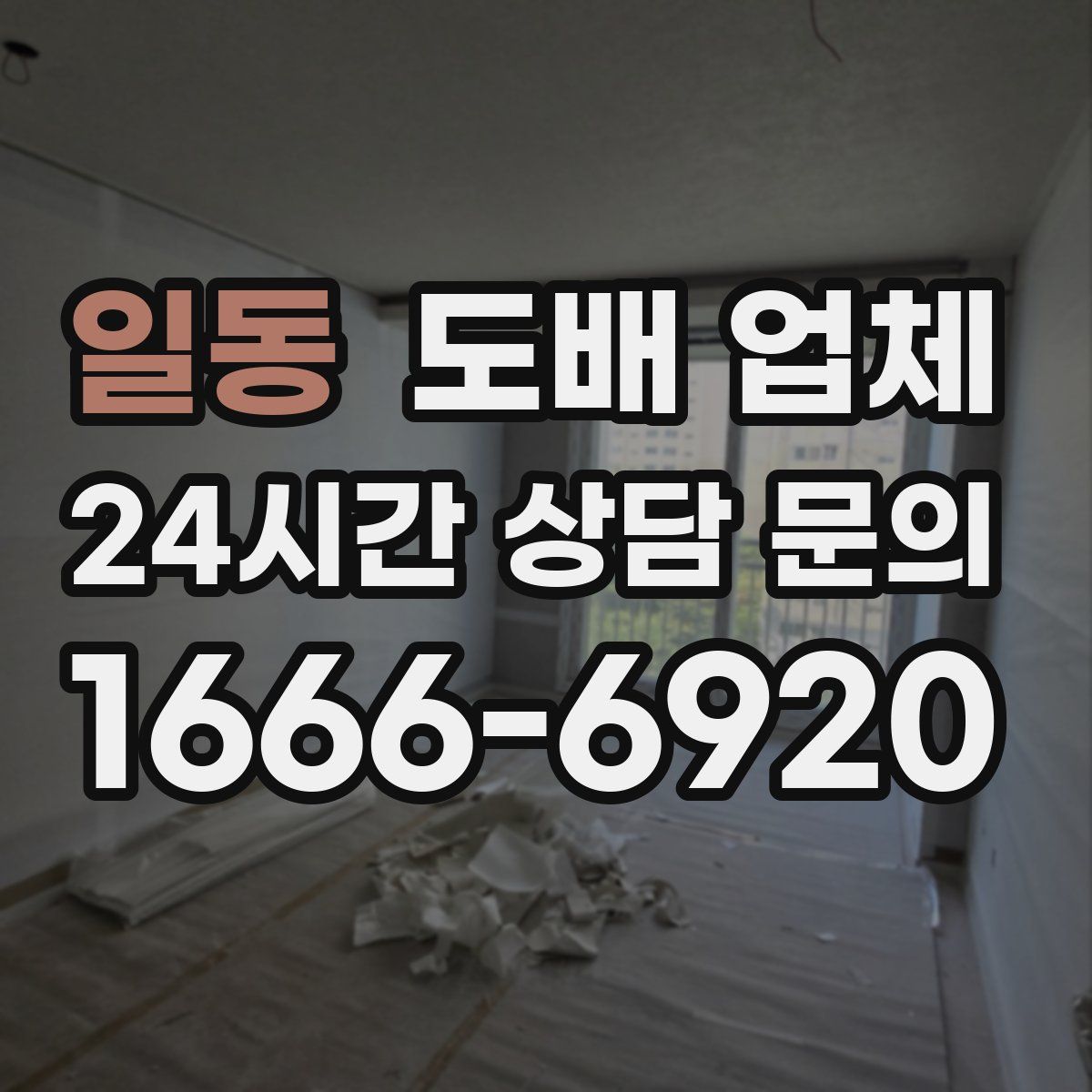일동 도배 업체