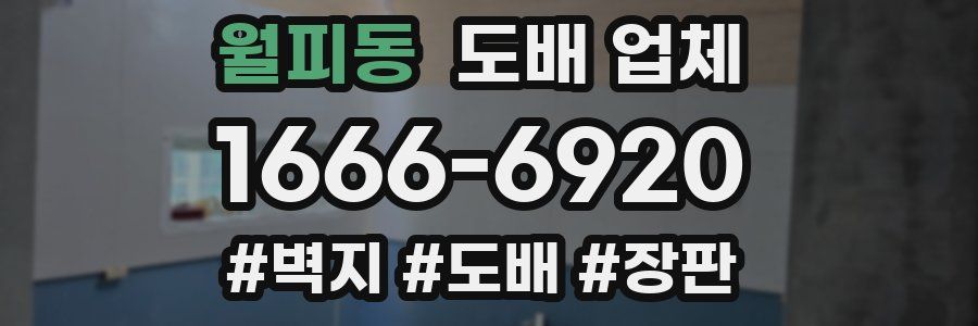 월피동 도배 업체