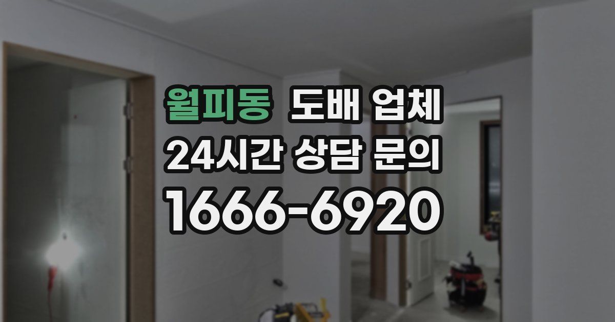 월피동 도배 업체