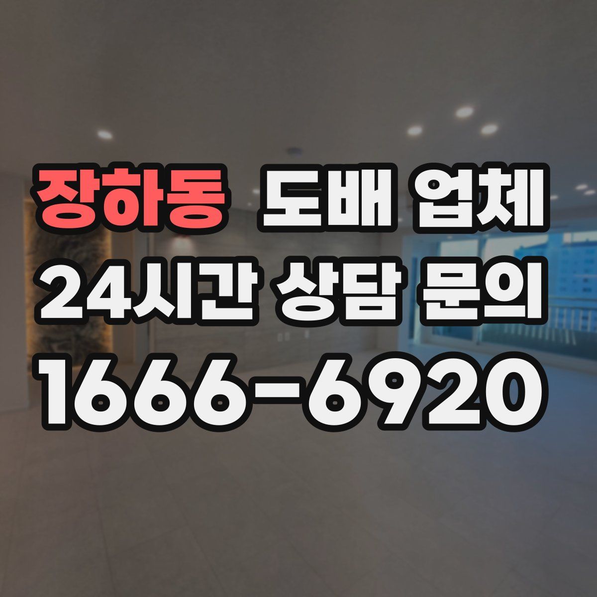 장하동 도배 업체