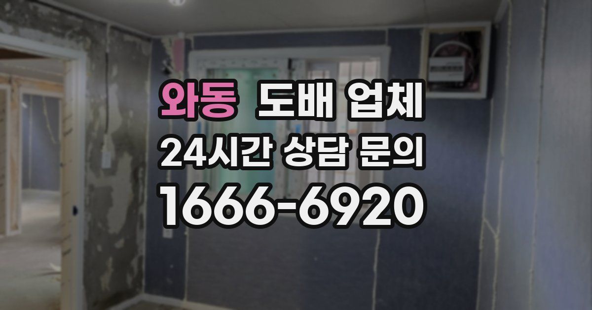 와동 도배 업체