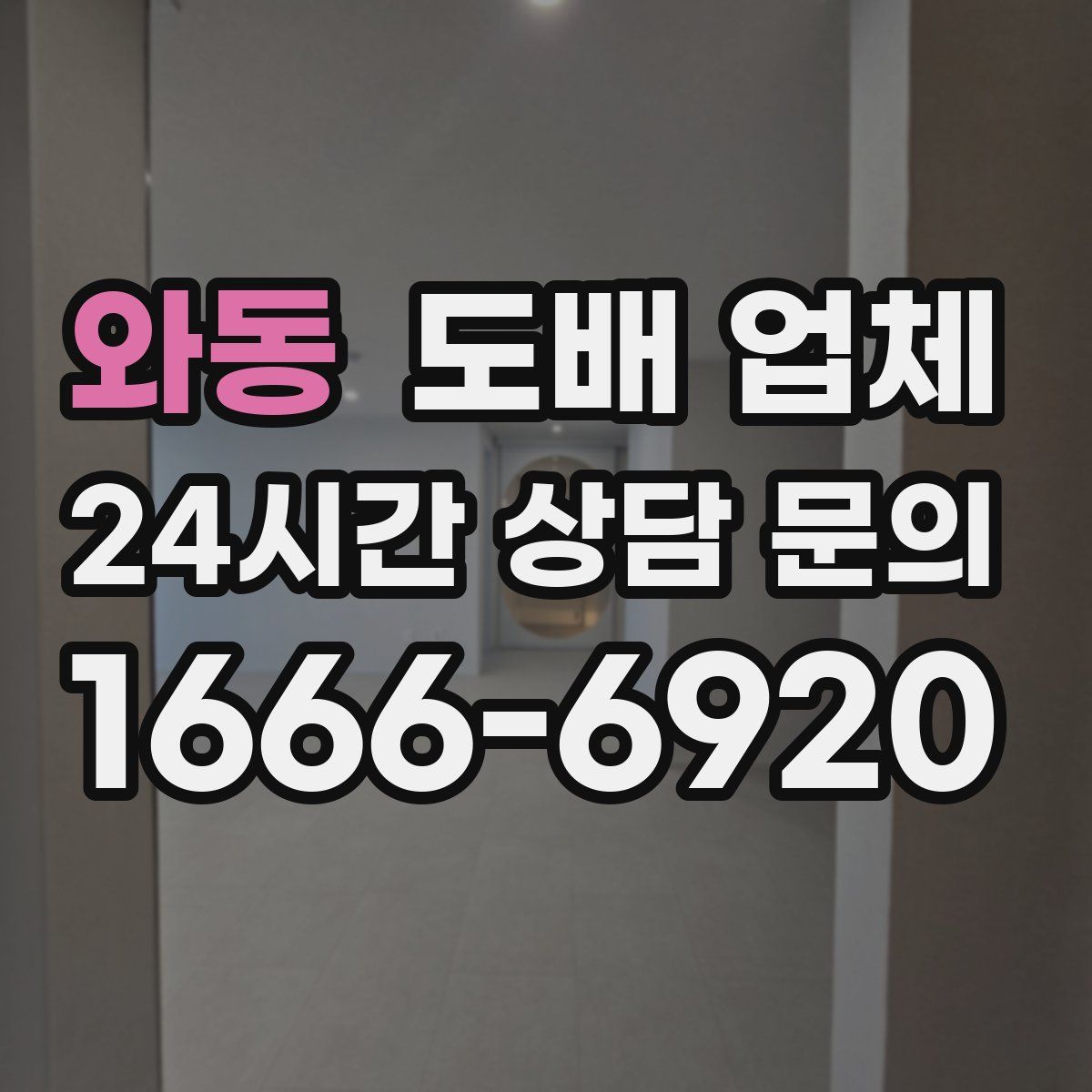 와동 도배 업체