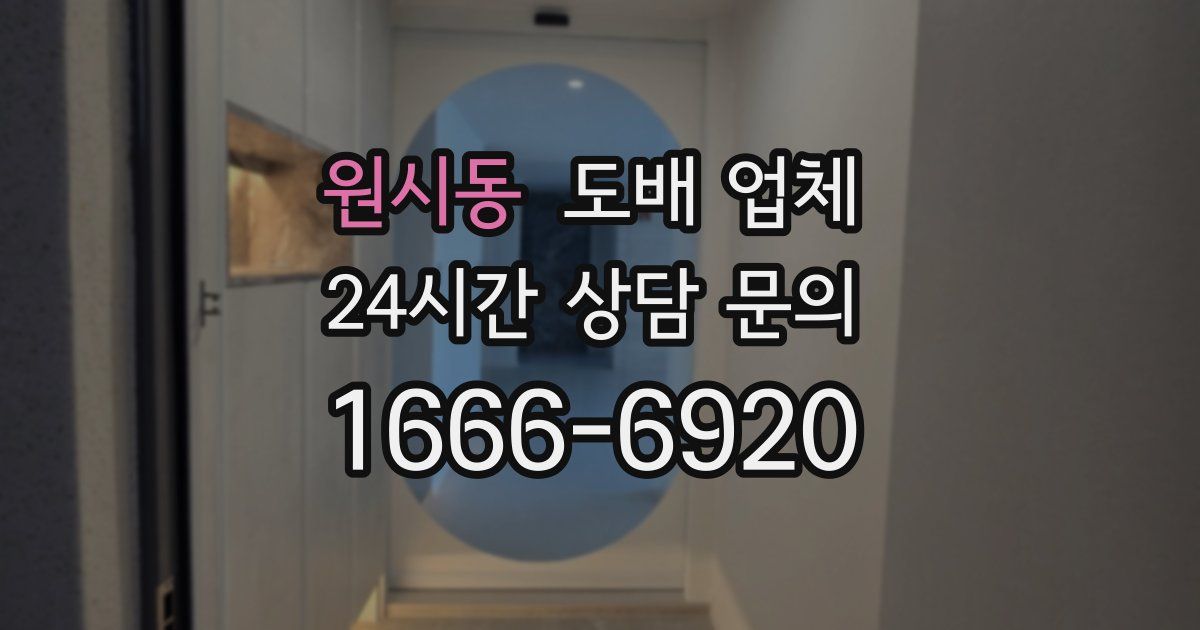 원시동 도배 업체