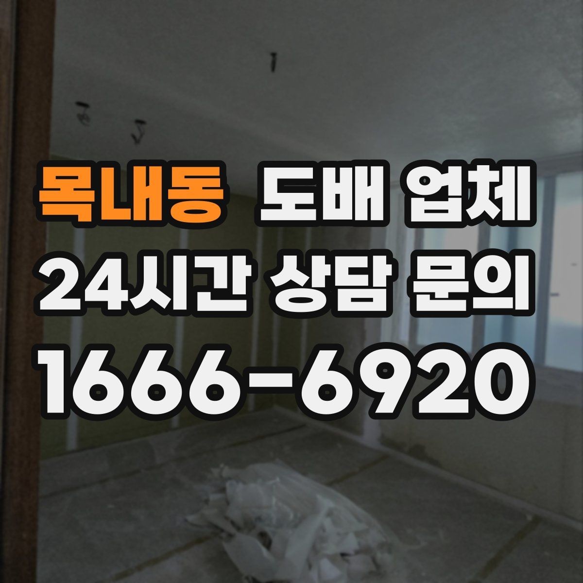 목내동 도배 업체 교체 시기와 점검 포인트