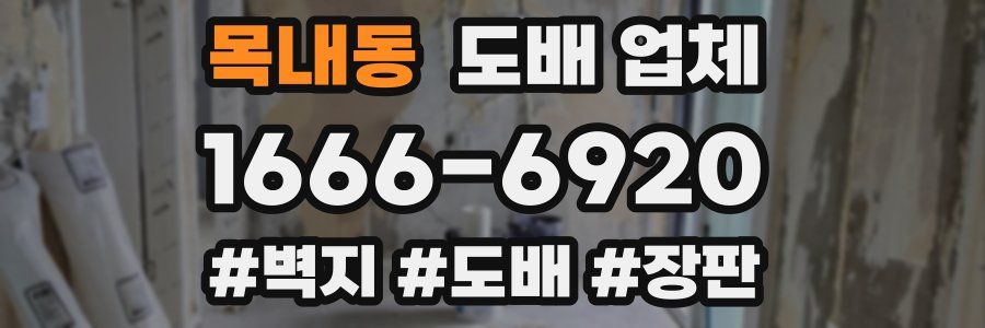 목내동 도배 업체