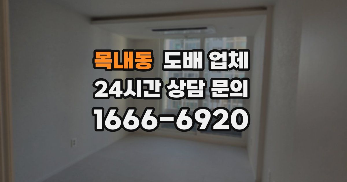 목내동 도배 업체