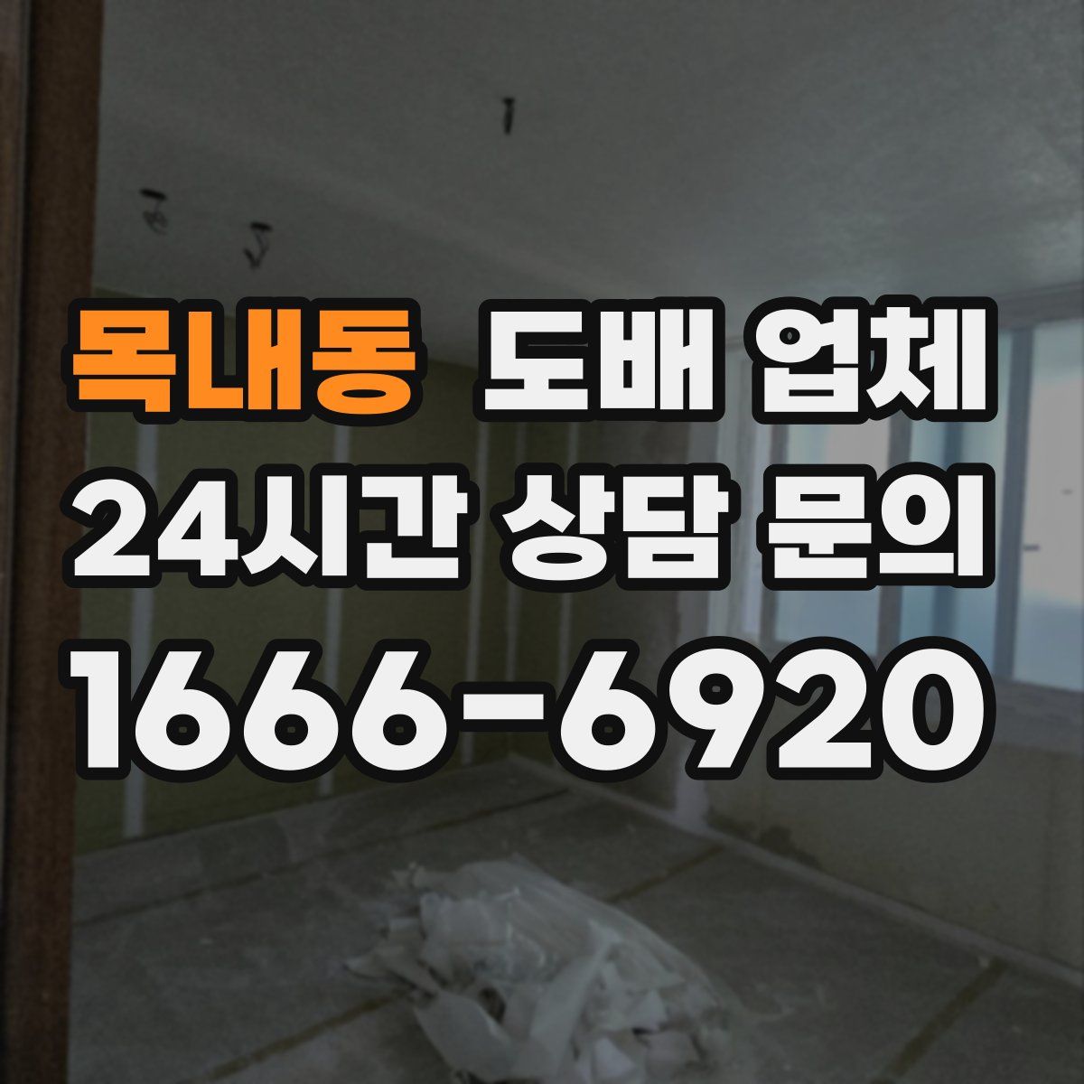 목내동 도배 업체