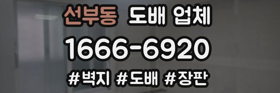 선부동 도배 업체