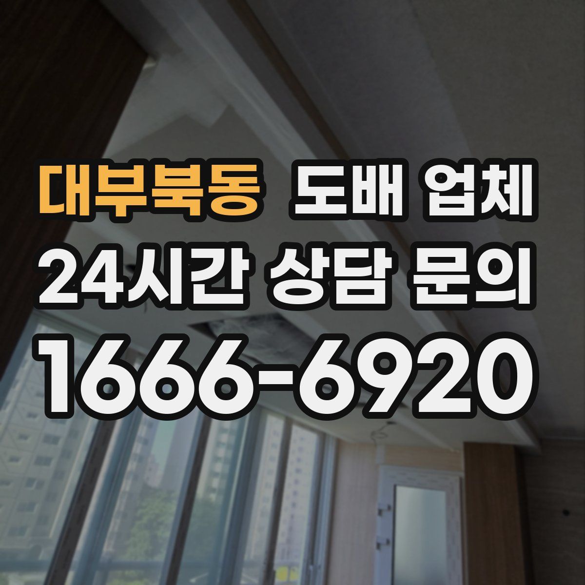 대부북동 도배 업체
