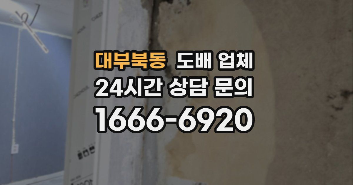 대부북동 도배 업체